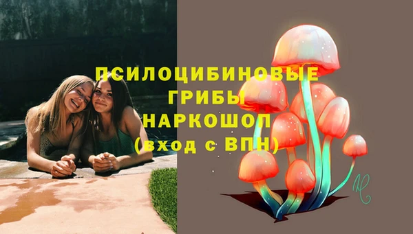 mdma Дмитров