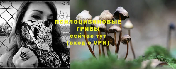 круглые Дмитровск