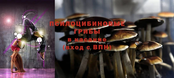 дживик Гусиноозёрск