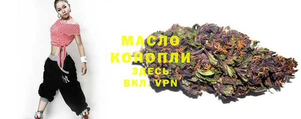 первитин Гусев