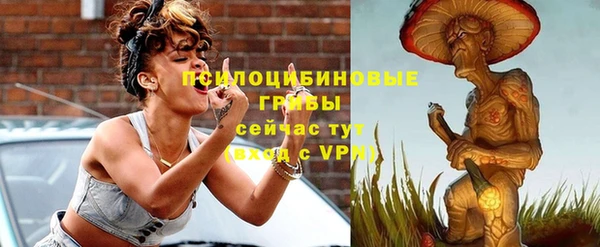 первитин Гусев