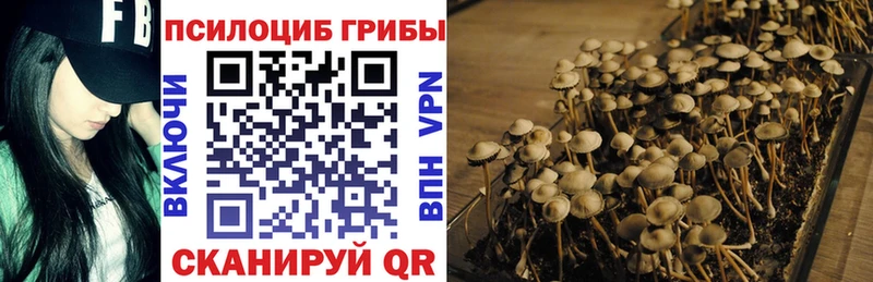 купить наркоту  Инта  МЕГА сайт  Псилоцибиновые грибы прущие грибы 